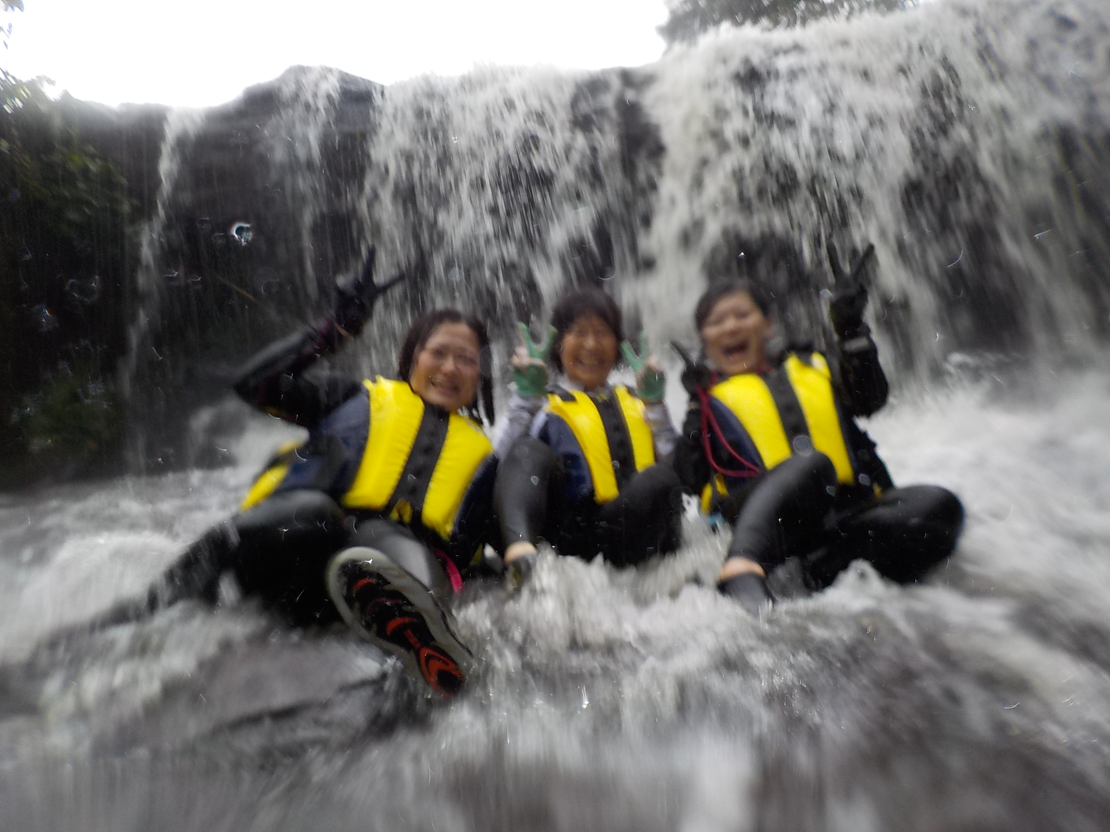 �T���K���̑�͑ł���鎖���ł��܂��B