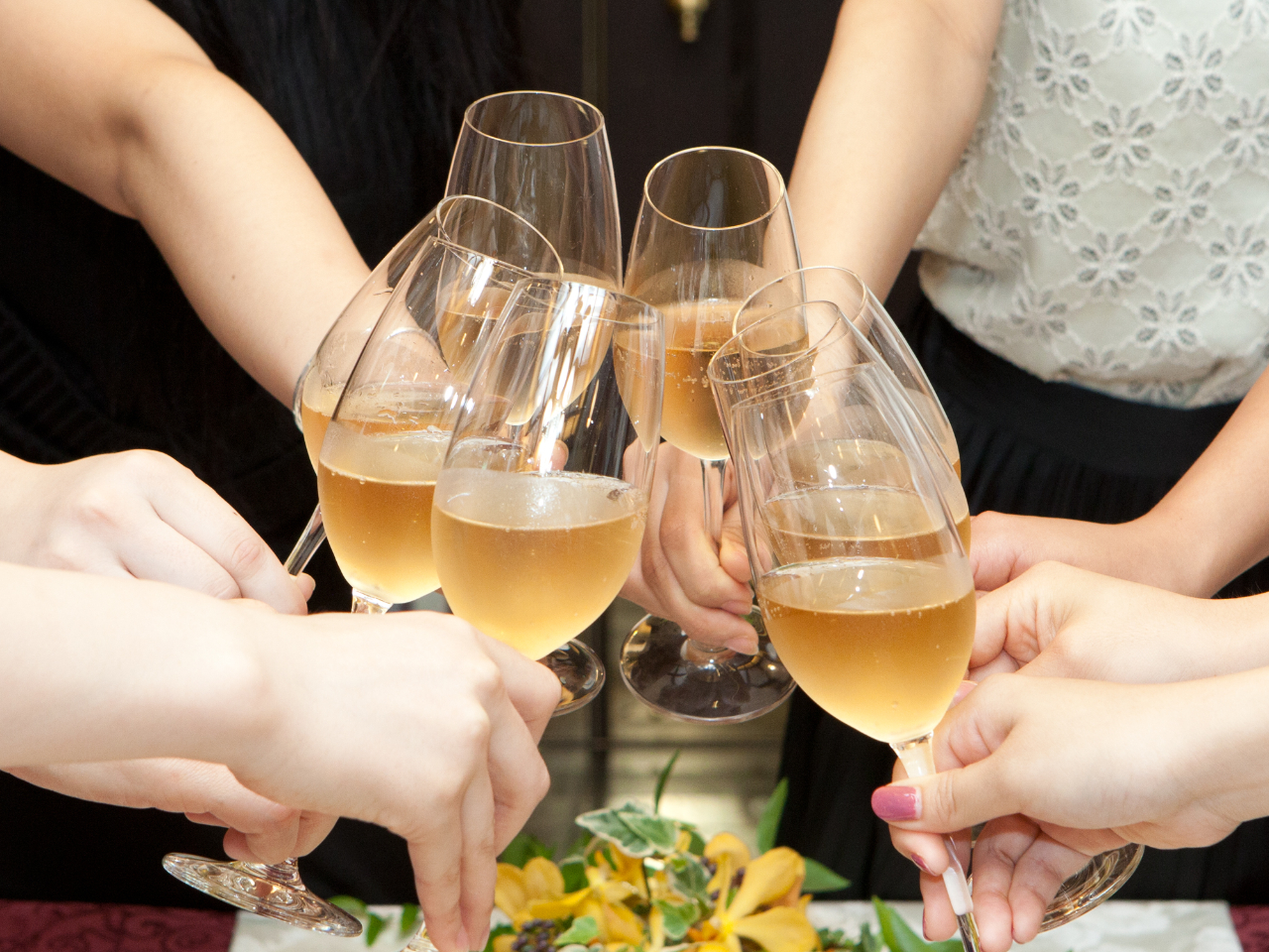 レディースプランイメージ