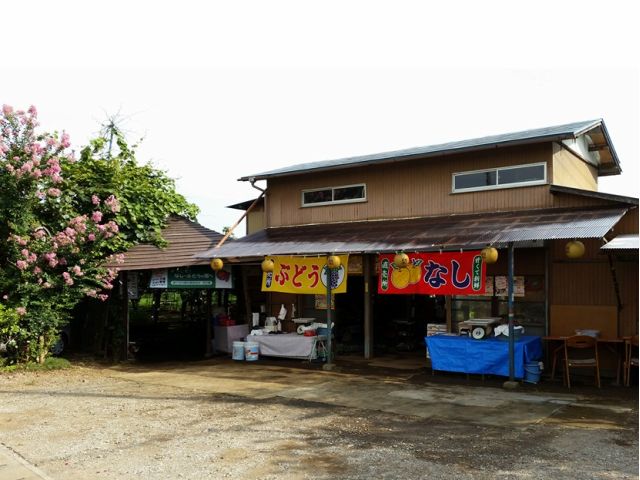 千葉県の名産品・梨だけでなくブドウやキゥイフルーツの栽培も手掛ける果樹園です。直売所では加工品などの販売もしております。