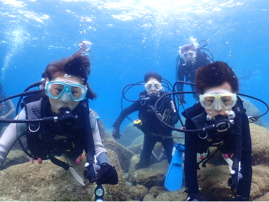 黄金崎でスキューバダイビングにチャレンジ♪午後プラン】 ライセンス