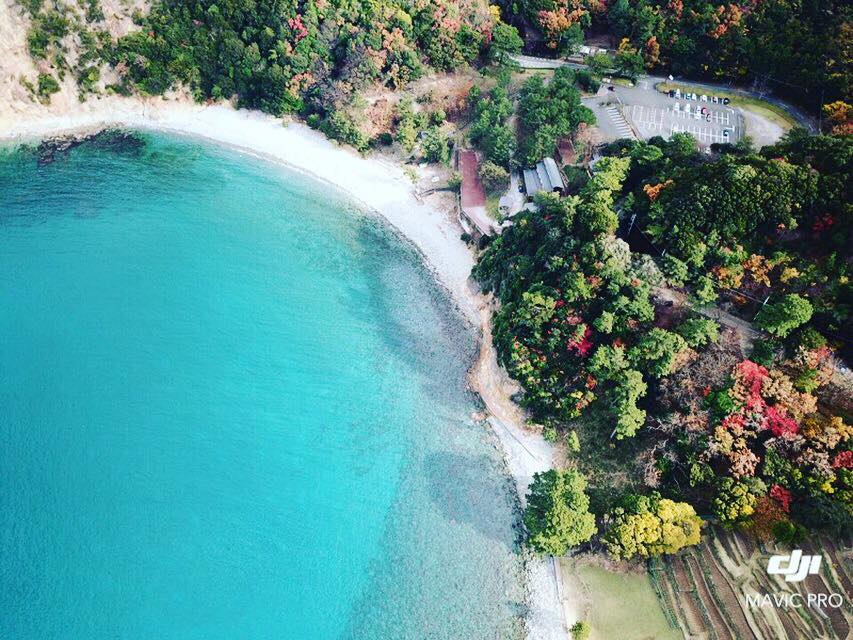 �󂩂猩�Ă���i�̃r�[�`