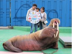 東海の水族館ランキングtop10 じゃらんnet 東海の水族館ランキングtop10 じゃらんnet