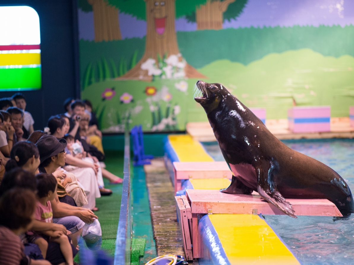 AVJƎ̃R~JȊ|ɖڂȂI