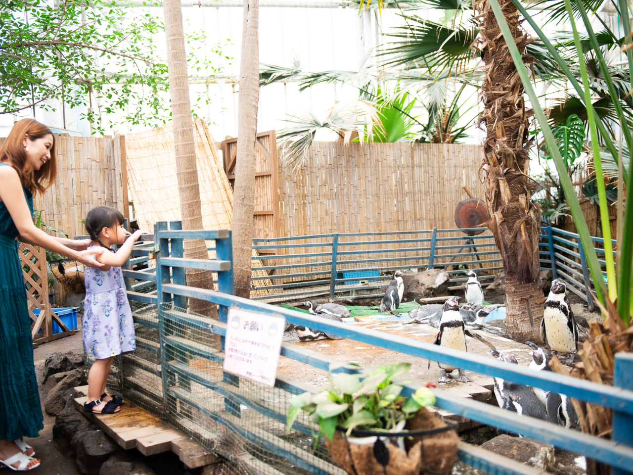 y̏ŕ炷yMԋ߂Ŋώ@I