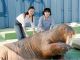 大きなセイウチと仲良くハイポーズ!