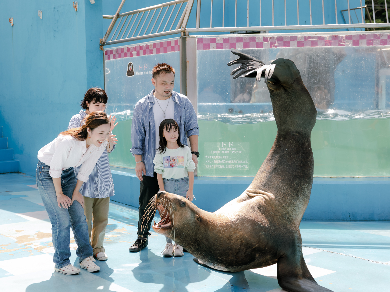 ghڂ̑OɁIH͂̂ptH[}XI