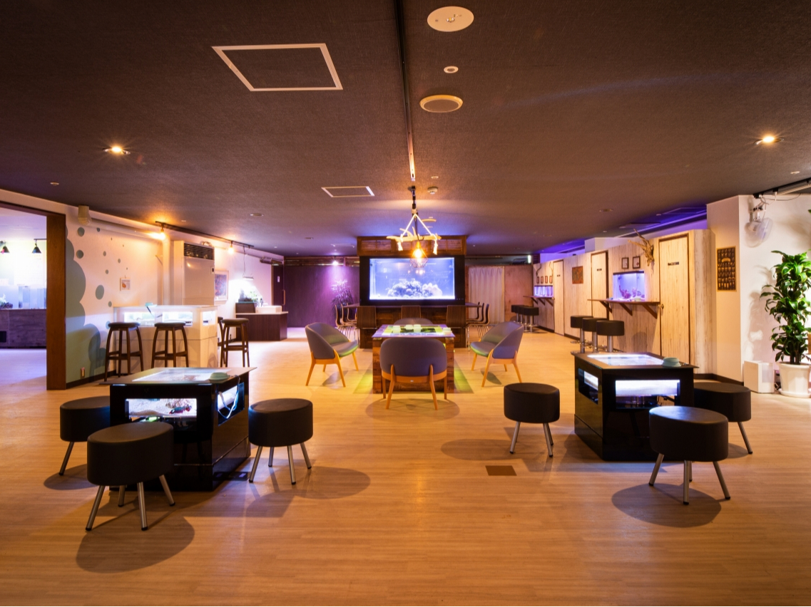 �J�t�F���C���[�W���������G���A�uUOASIS -�E�I�A�V�X-�v