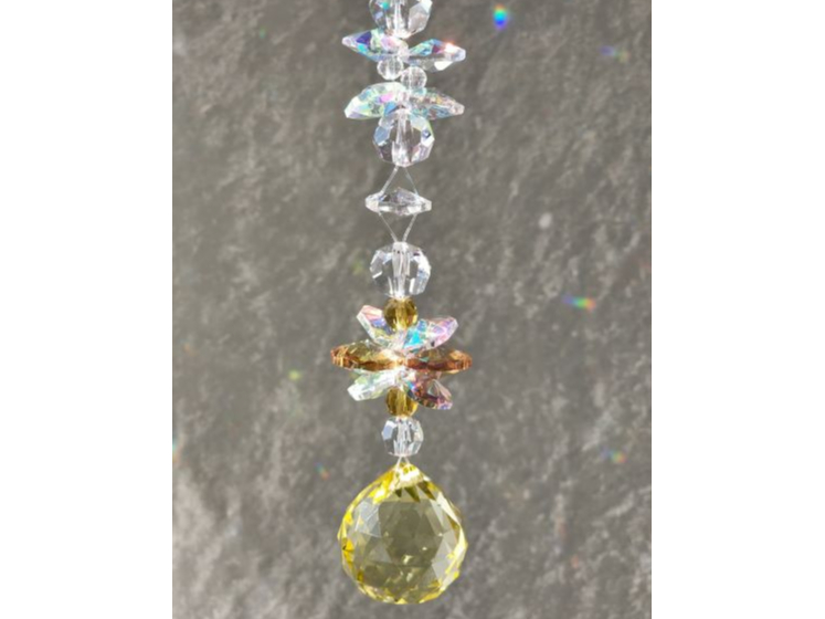 �T���L���b�`���[�̌��@30�����R�[�X