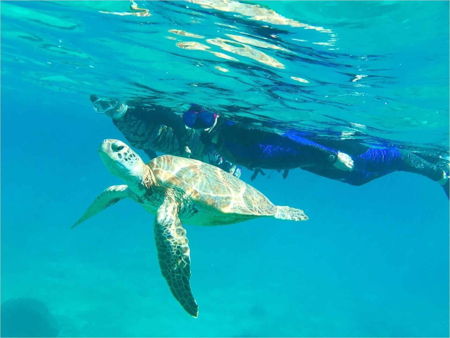 E~Ig [`[u̓łhttps://www.youtube.com/@umioto3015