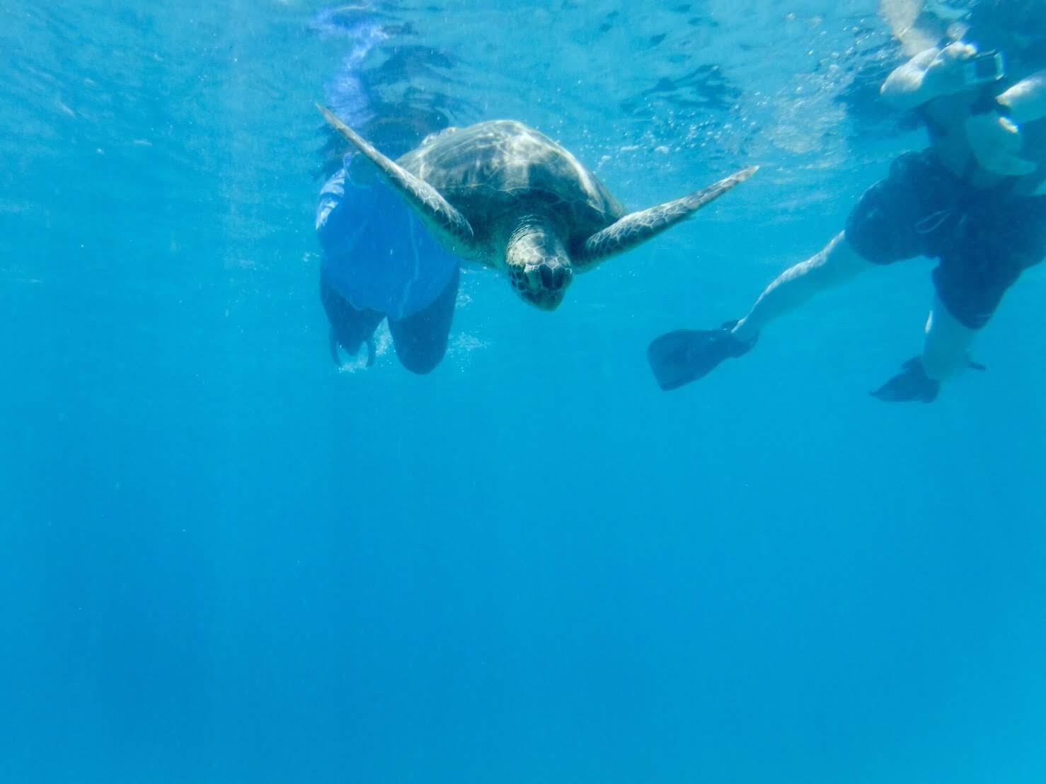 E~Ig [`[u̓łhttps://www.youtube.com/@umioto3015