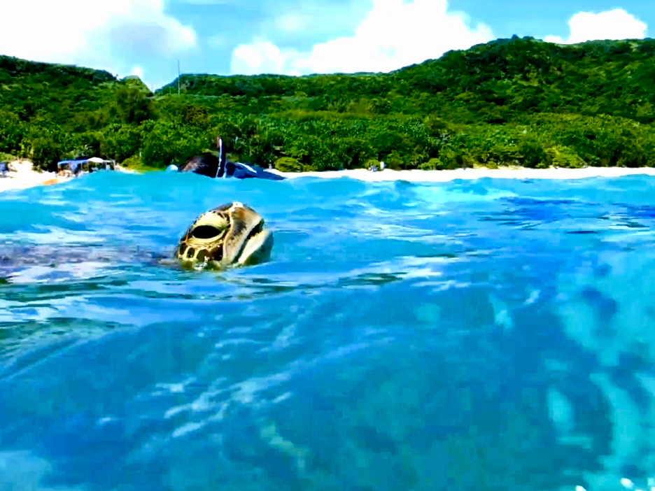 E~Ig [`[u̓łhttps://www.youtube.com/@umioto3015