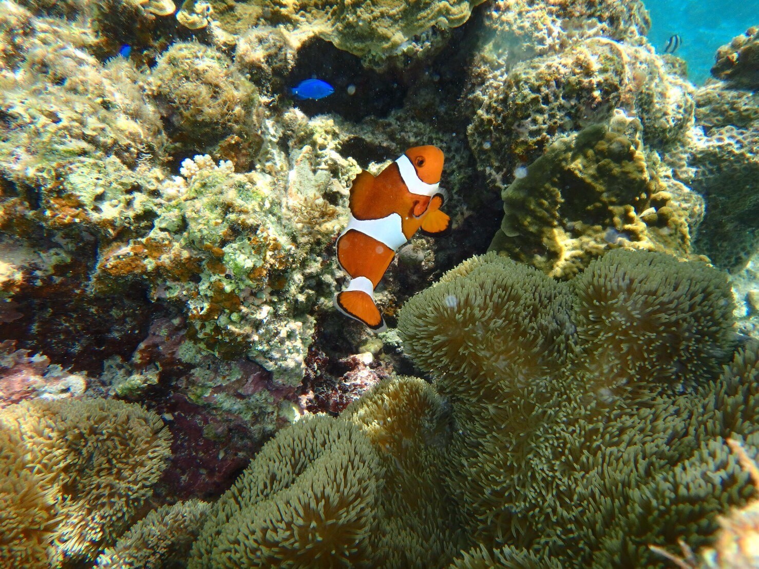 E~Ig [`[u̓łhttps://www.youtube.com/@umioto3015