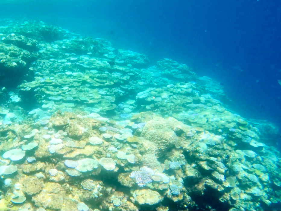 E~Ig [`[u̓łhttps://www.youtube.com/@umioto3015