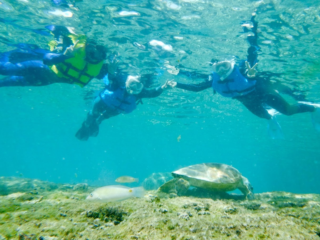 E~Ig [`[u̓łhttps://www.youtube.com/@umioto3015