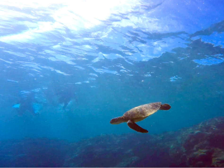 E~Ig [`[u̓łhttps://www.youtube.com/@umioto3015