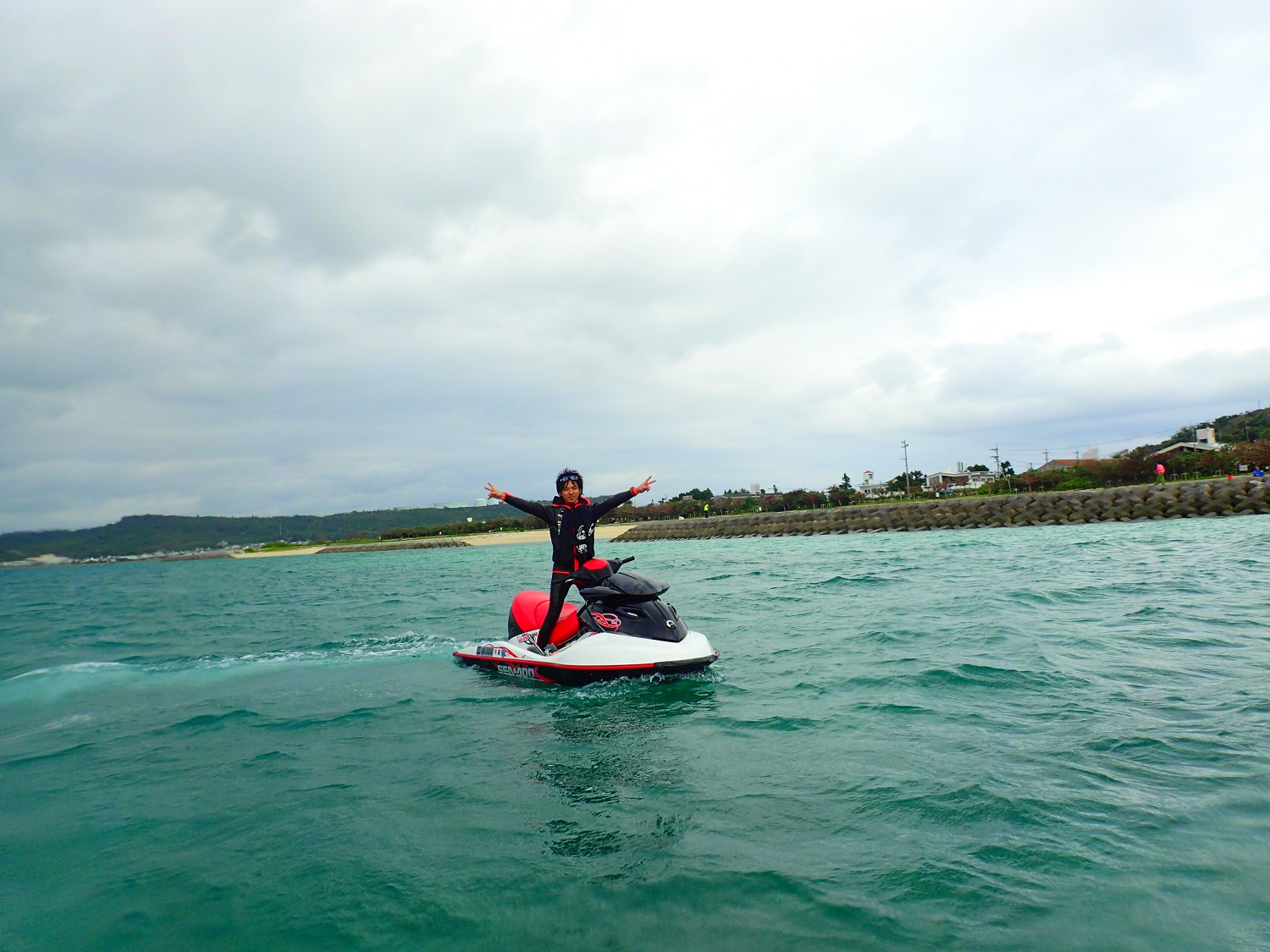 優雅に楽しそうです