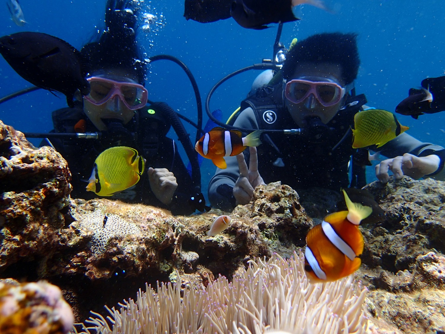 クマノミと一緒に撮影