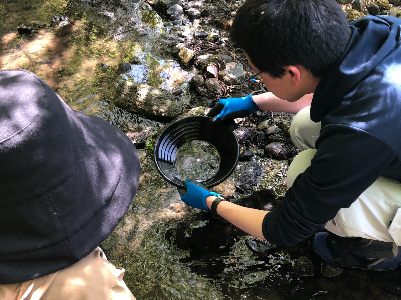 �V�R�����̂�