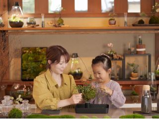 お子様も体験できる苔玉づくり