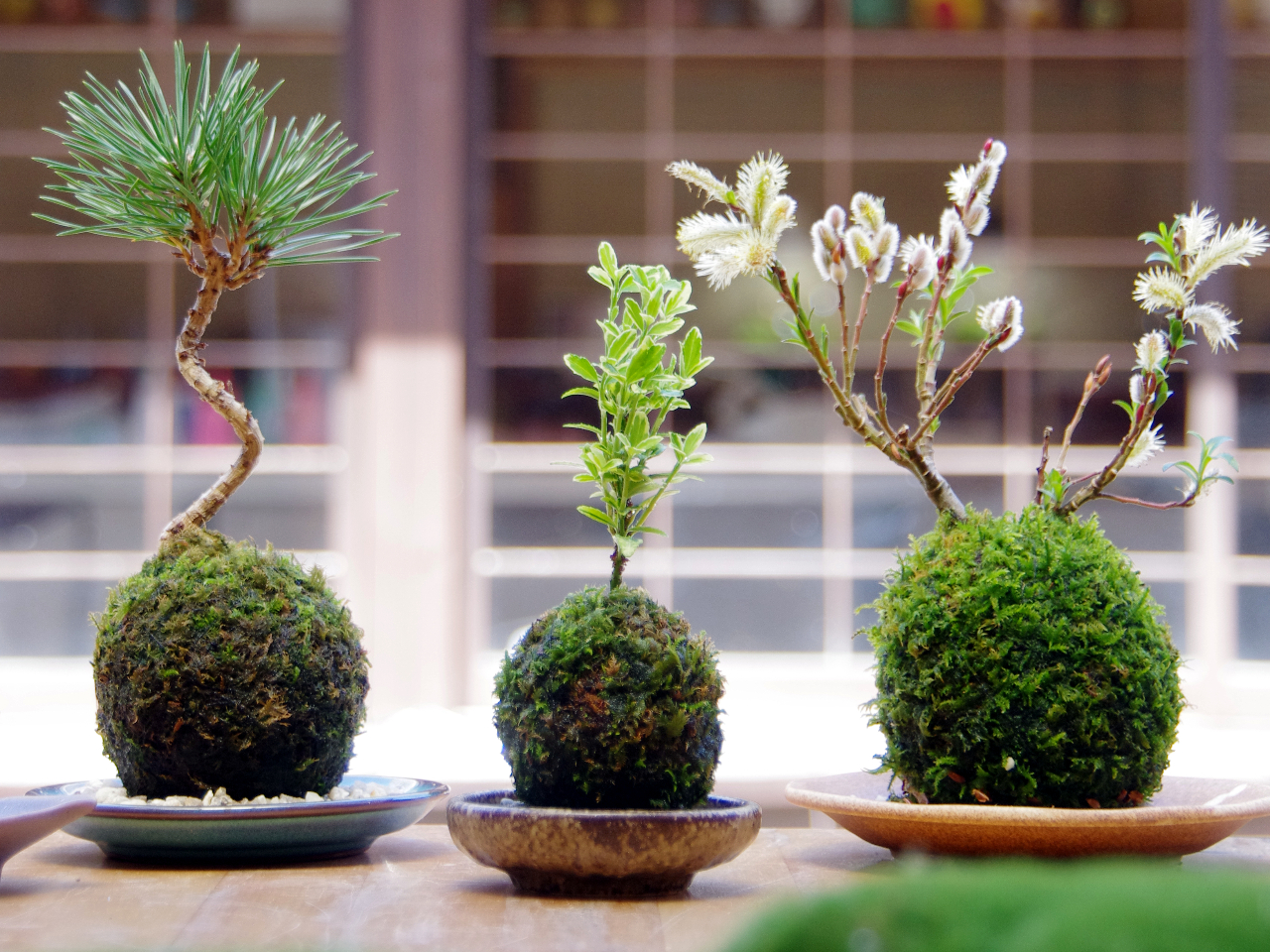 lG܁X̉Ԗ؂𗘗pIWȋۋʂ܂