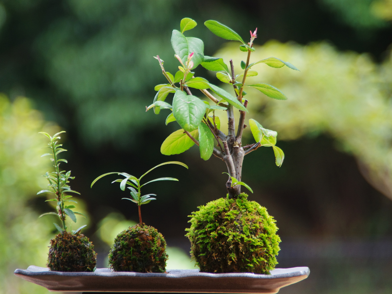 gōۋʂCeAƂāB܂͎v[gɂĂ݂ẮB