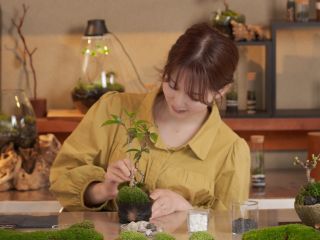 日本人の美意識を体感できる「苔盆栽づくり」