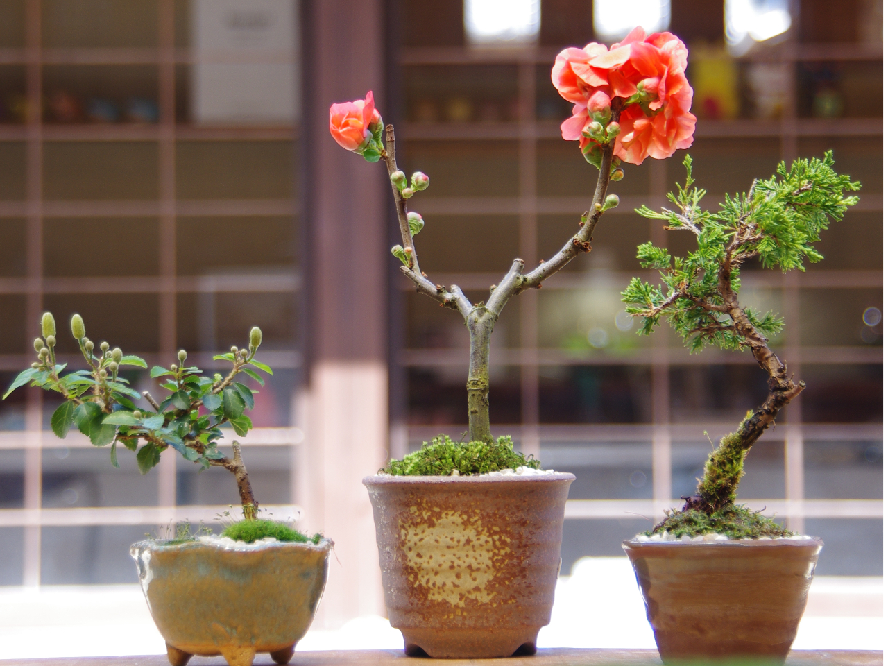 AƊŋG߂\ł܂B ~͂̎cA_CeAɂ܂