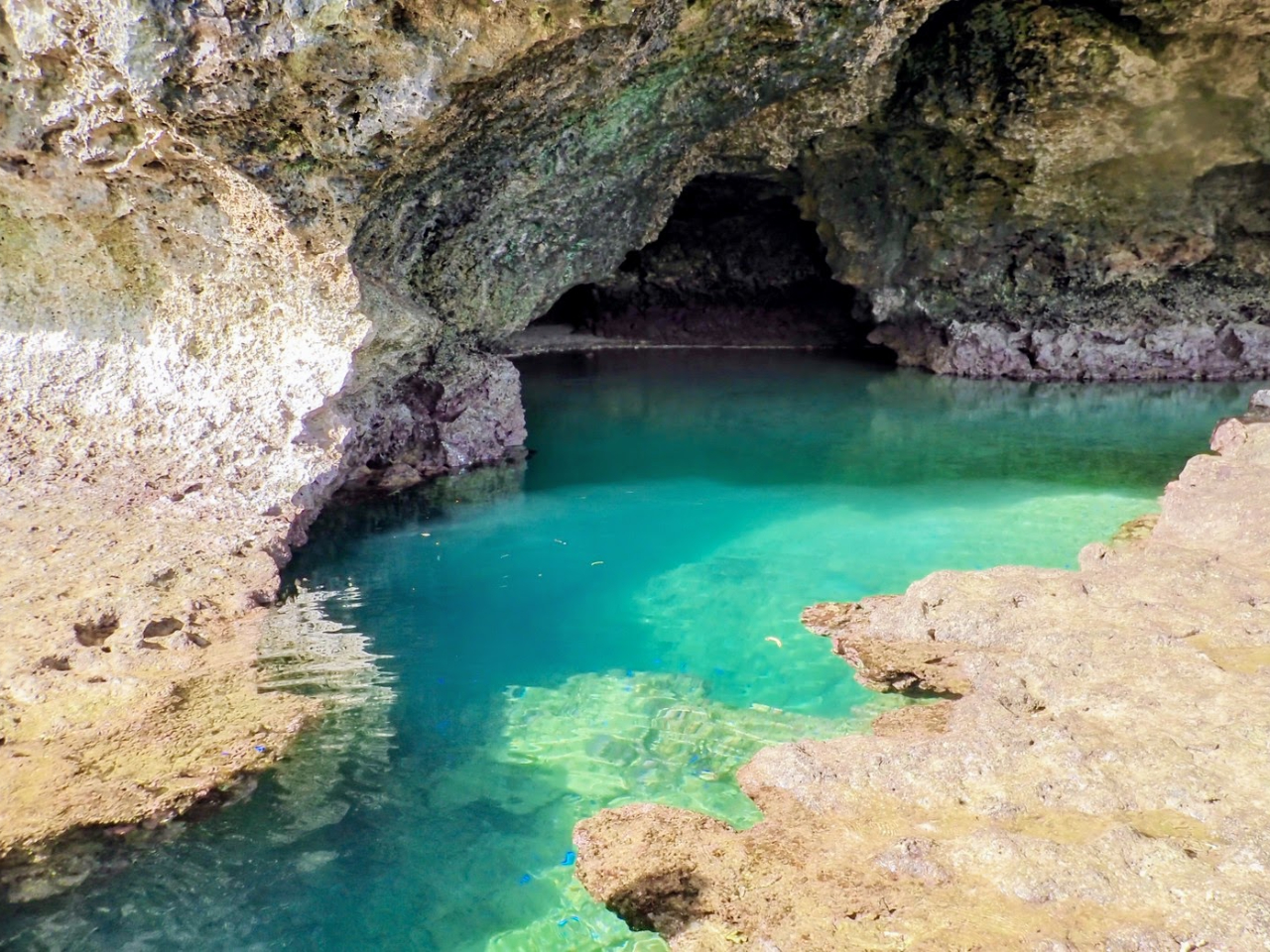 大自然を満喫!青の洞窟★☆彡