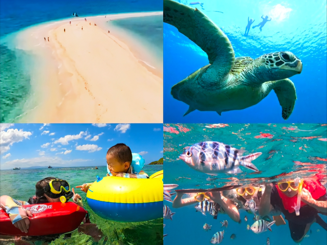 石垣島の2大人気スポットへ!幻の島と青の洞窟で満喫★☆彡