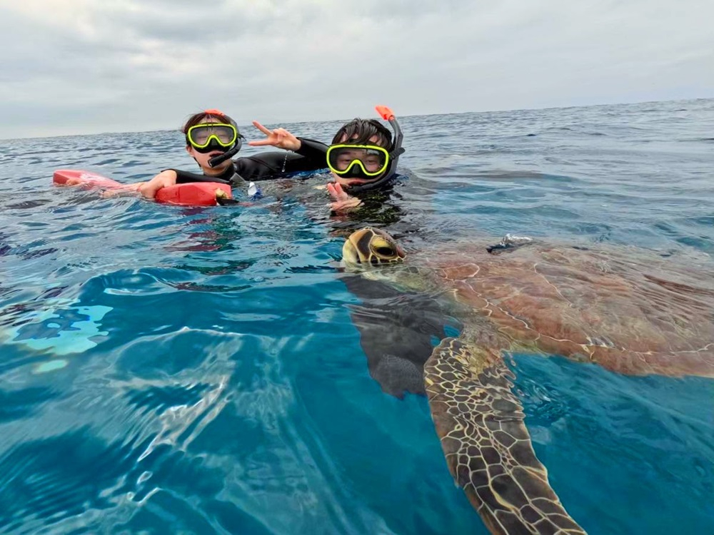 人気のウミガメに会いに行こう!