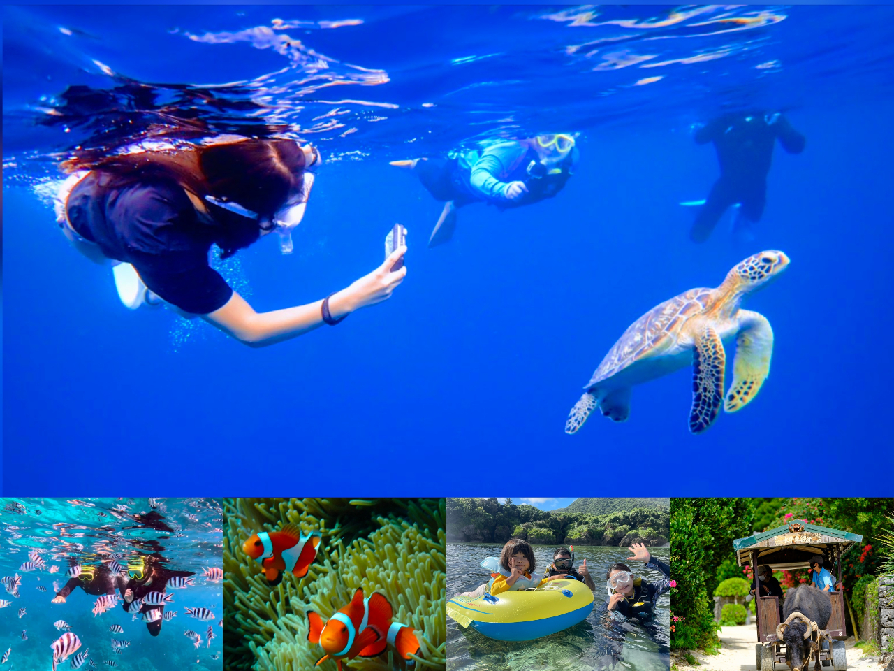 �V���m�[�P�����O���S�҂̕�����E��E�劽�}����S�̃r�[�`�G���g���[�Œ��J�ɃT�|�[�g�������܂��I