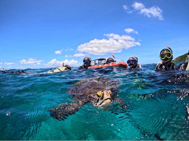 �^�C�~���O�������΋߂��ŗV�j�ł��邱�Ƃ���