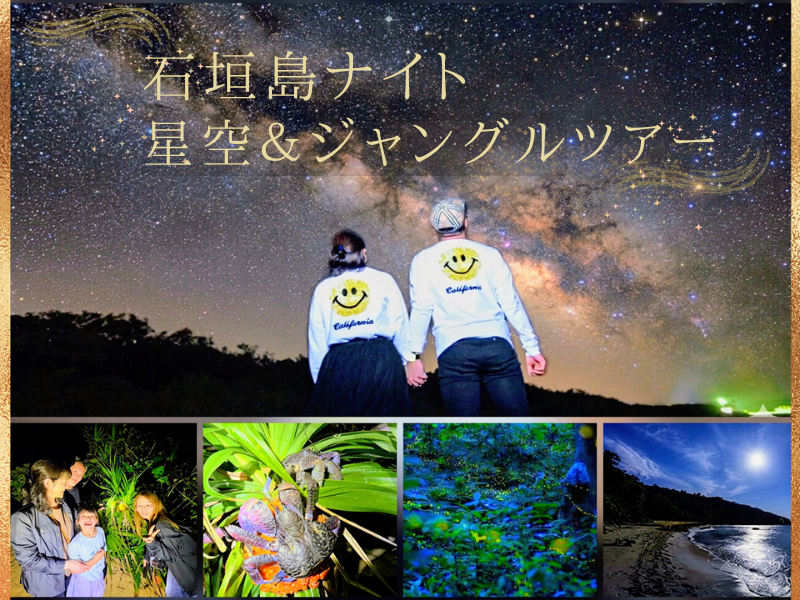 送迎無料＆当日予約17時まで☆【ヤシガニ99.9％高遭遇率＆星空鑑賞