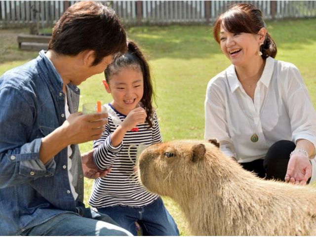 人気施設 元気の森 ふれあい動物王国 お得なセット券 阿蘇ファームランド じゃらん遊び体験 人気施設 元気の森 ふれあい動物王国 お得なセット券 阿蘇ファームランド じゃらん遊び体験