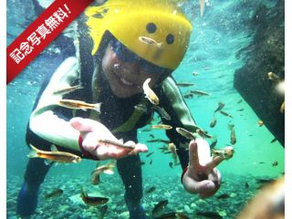 大自然で遊ぼう!運がよければお魚にも出会えるかも!カワイイお魚が手ですくえるほど泳いでいます。