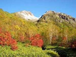 上高地 源泉かけ流し100 大自然の中でのんびり温泉プラン さわんど温泉 上高地ホテル じゃらん遊び体験