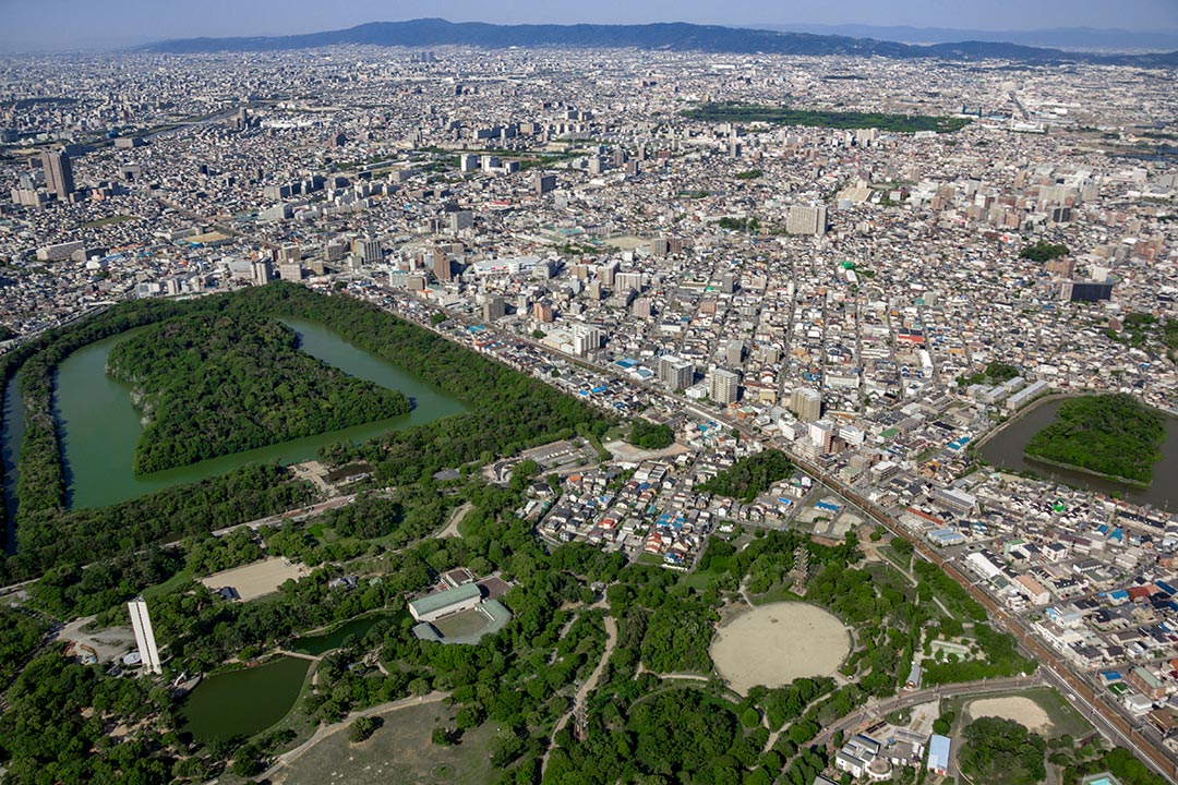 ����󂩂琢�E��Y�E�Õ��߂���  ���j��������w���N���[�W���O