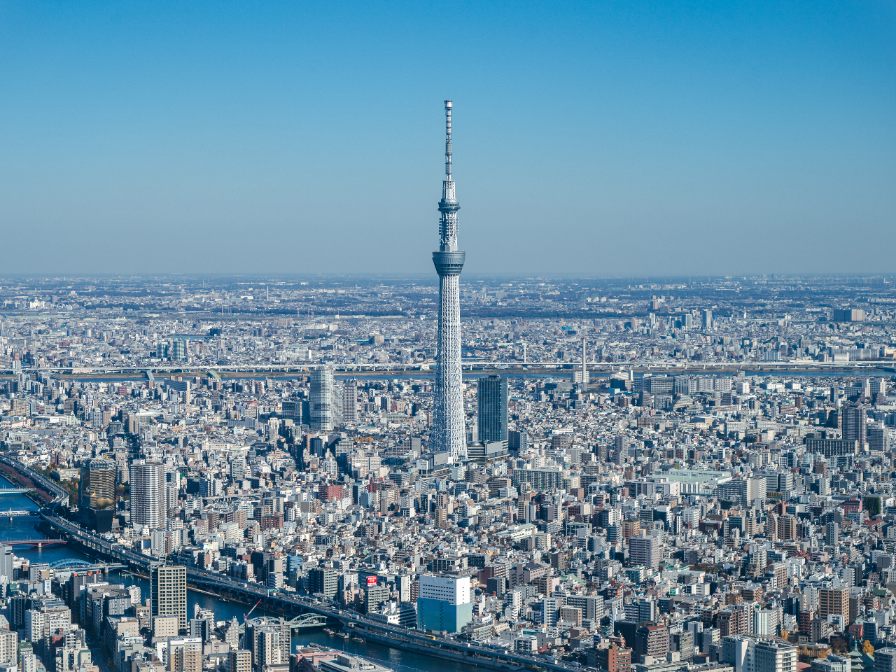 空からの眺めは最高!東京の名所が見られるエリアを飛行します。