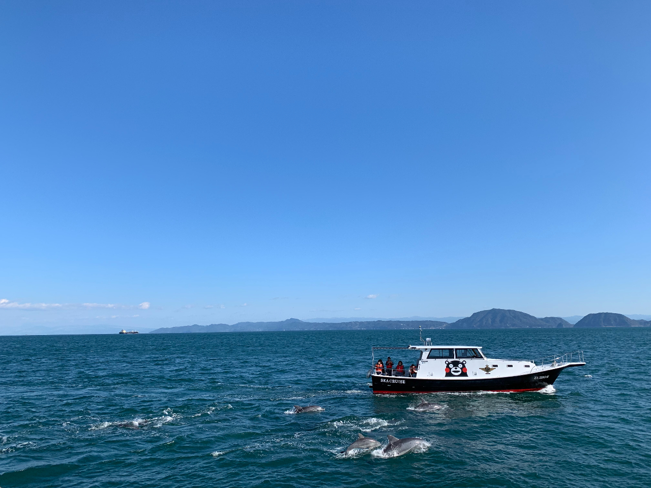 ���܃������ŃC���J�E�H�b�`���O�@�������̏�D�l���ɉ����đD�̑傫����ύX���Ă���܂��B�D�̎w��͏o���܂���B