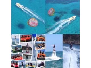 写真の物が、ぜ〜〜んぶ楽しめます。