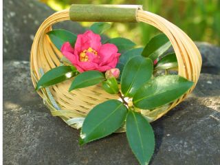 手のひらサイズのかごが1時間で編めます