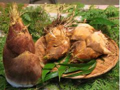 一条竹の子村 予約 アクセス 割引クーポン じゃらんnet 一条竹の子村 予約 アクセス 割引クーポン じゃらんnet