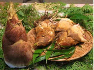 たけのこ ヤマトクール便にて発送もできます