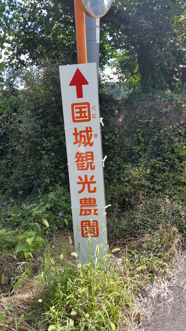 ������̊Ŕ�ڈ�ɂ��z����������