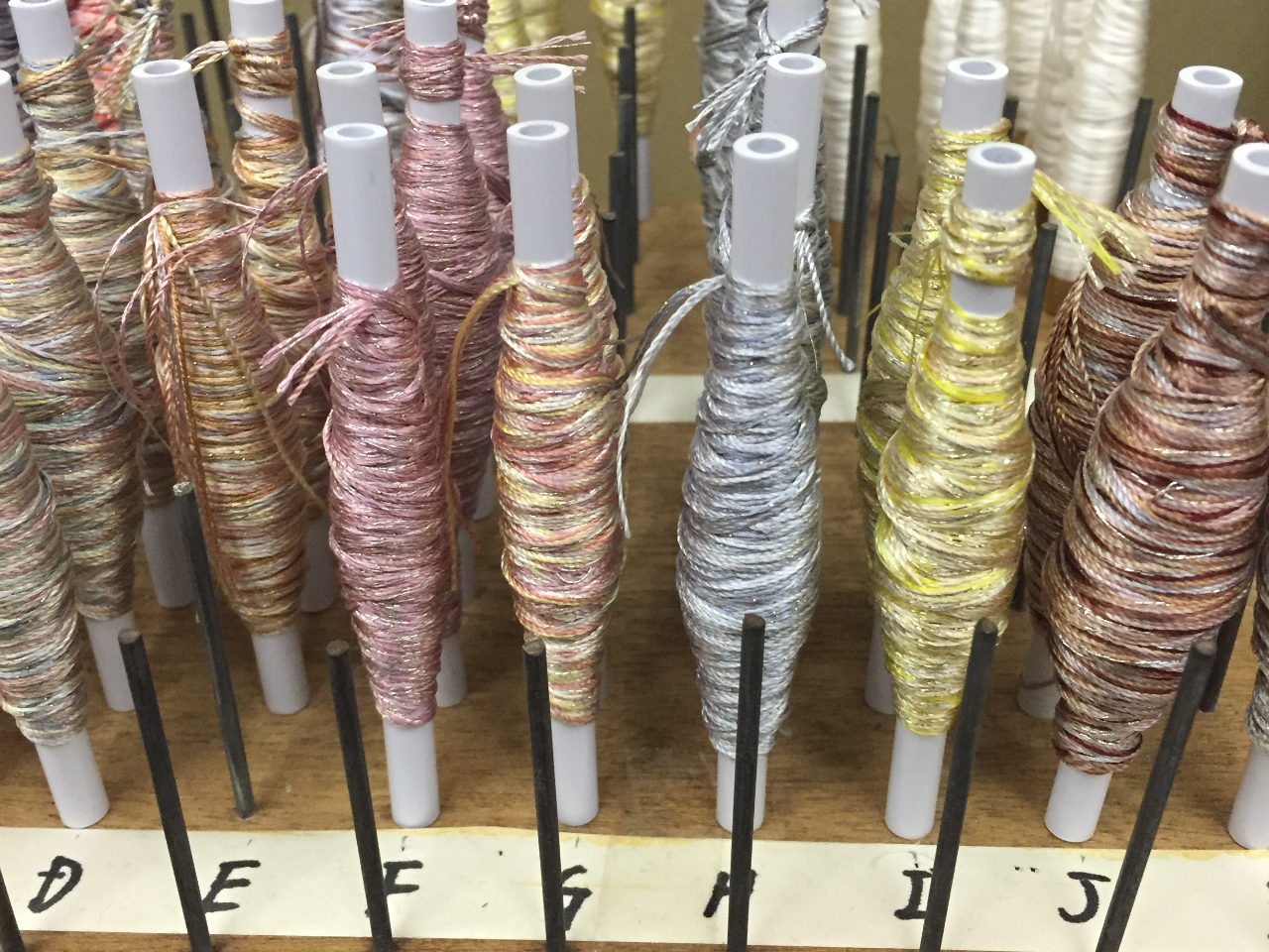 8ނ̐Fi悱j1ޑIŐD܂B