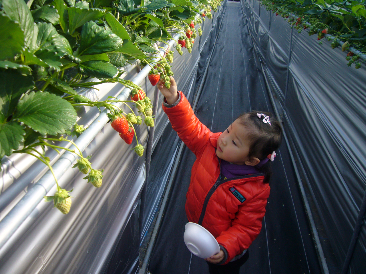 ̗lqAȂqlی҂̃̕AVXgły݂B