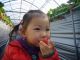 いちごは思った以上に水分が多いため、特に小さなお子様には、エプロン等をご持参することをおすすめします。