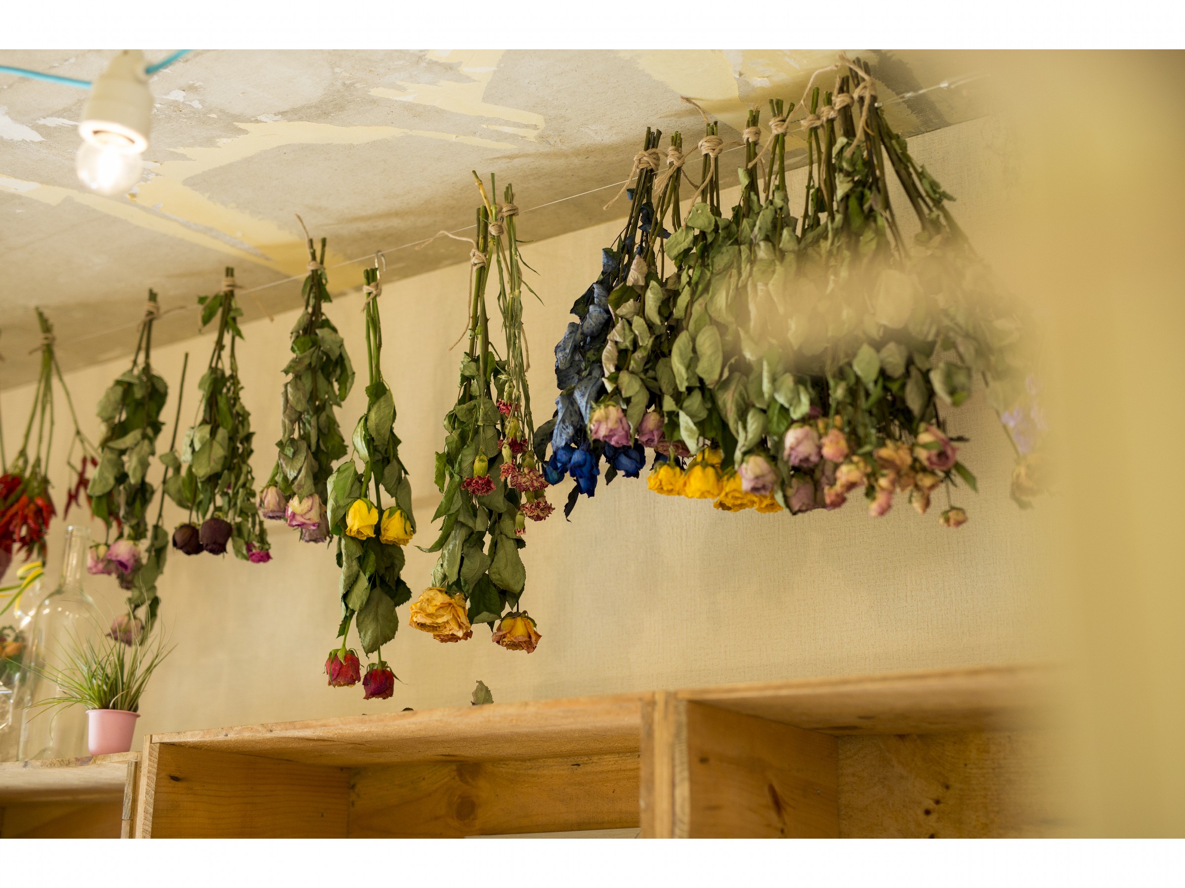 スタジオでは季節のお花をドライフラワーにしています
