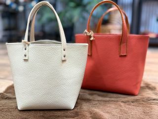 2種類のデザイン