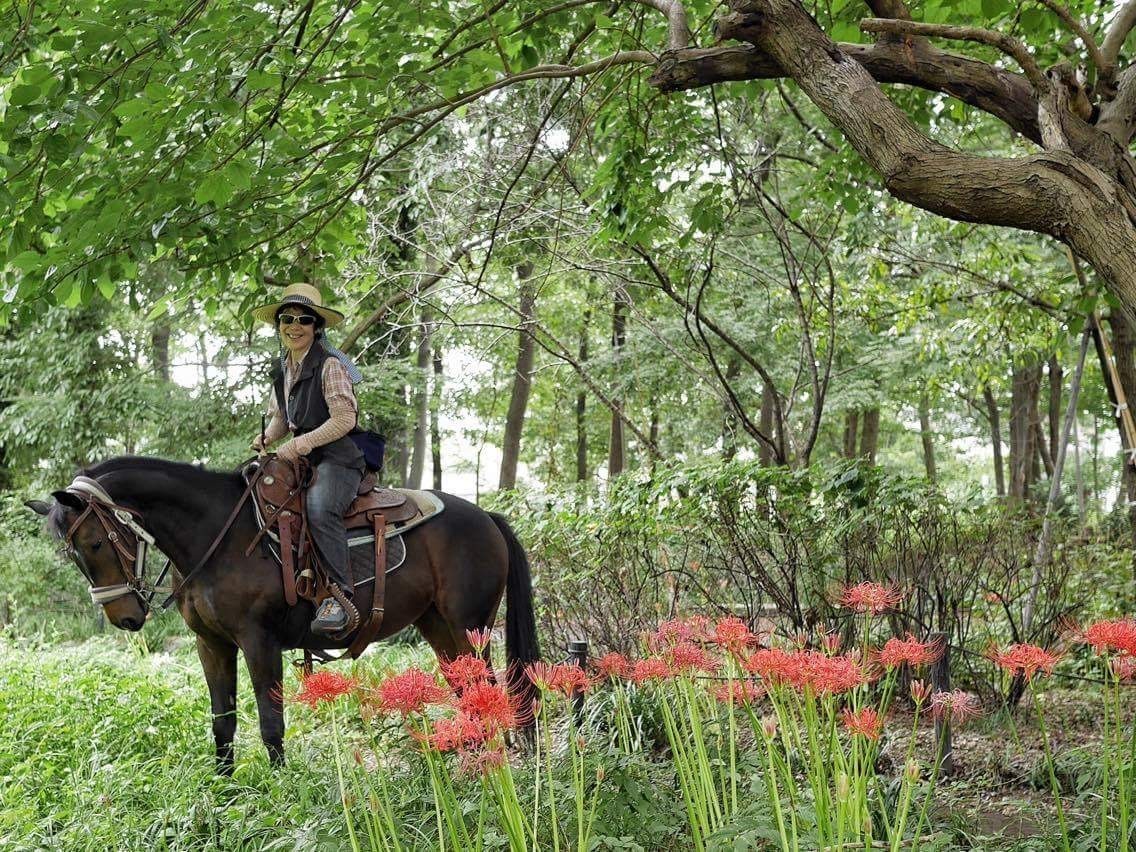 Hɂ͔ފ݉Ԃ̌Qɍs܂B